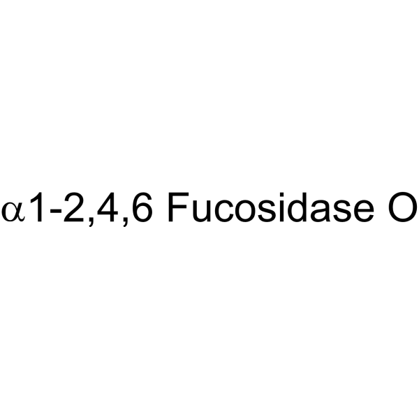 α1-2,4,6 Fucosidase O (α1-2,4,6-fucosidase O) 9037-65-4